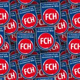 1-FC-Heidenheim.jpg