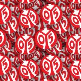 1-FSV-Mainz-05.jpg