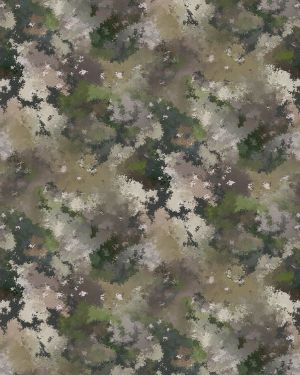 2.0 Transitional Enhanced Camouflage