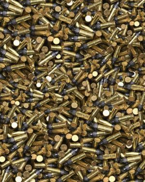 22 Ammo