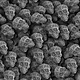 3D-Sugar-Skulls-22-thumb.jpg