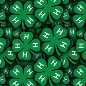 4H Club