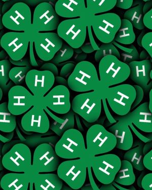 4H Club