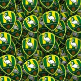 ADO-Den-Haag.jpg