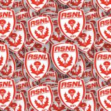 AS-Nancy-Lorraine.jpg