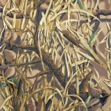 Advantge-Wetlands-thumb.jpg