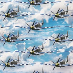 Aircraft 22