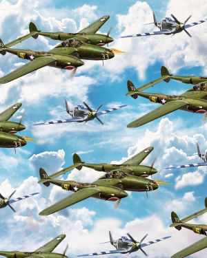 Aircraft 24