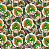 Alanyaspor-K.jpg