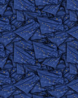 Alaska State Flag