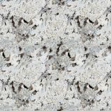 Alaskan-White-Granite-23.jpg
