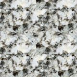 Alaskan-White-Granite-24.jpg
