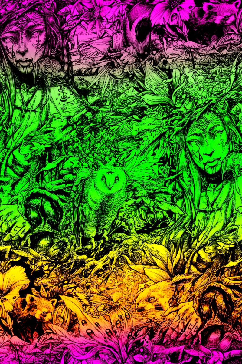 Alice in Shroomland 23