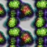 Alien-Amoeba.jpg