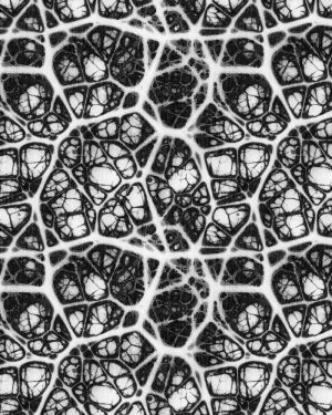 Alien Egg 21