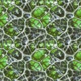 Alien-Egg-22.jpg