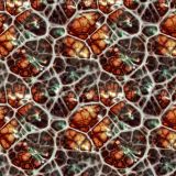Alien-Egg-25.jpg
