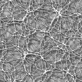 Alien-Foam-33.jpg
