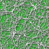 Alien-Foam-35.jpg