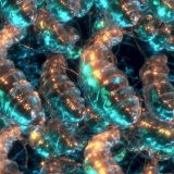 Alien-Glow-Worms.jpg