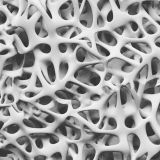 Alien-Marrow-23-thumb.jpg