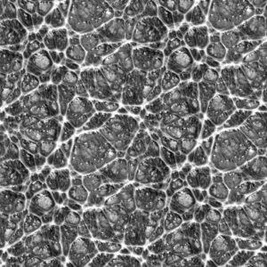 Alien Skin 21