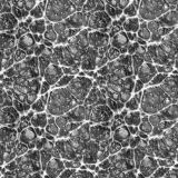 Alien-Skin-21.jpg