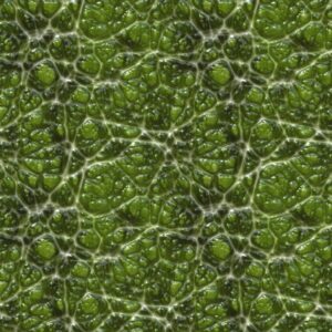 Alien Skin 22