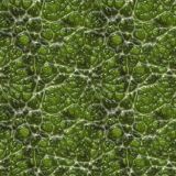 Alien-Skin-22.jpg