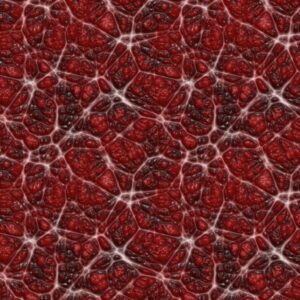 Alien Skin 24