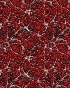 Alien Skin 24