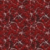 Alien-Skin-24.jpg
