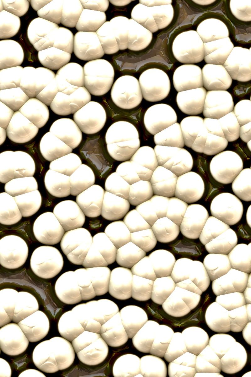 Alien Spores