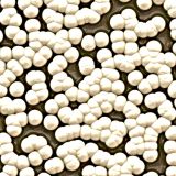 Alien-Spores.jpg