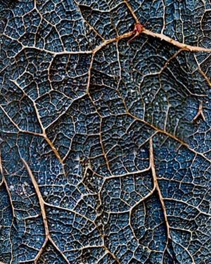 Alien Veins 22