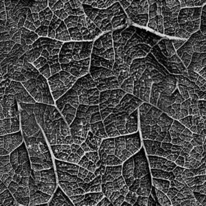 Alien Veins 23
