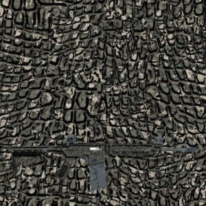 Alligator 28 Camouflage