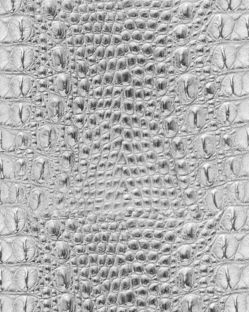 Alligator Leather Albino