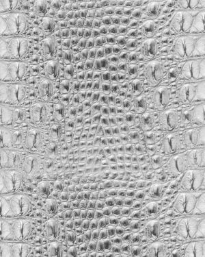 Alligator Leather Albino