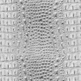Alligator-Leather-Albino.jpg