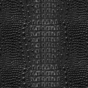 Alligator Leather Black