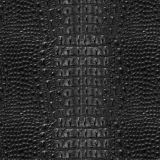 Alligator-Leather-Black.jpg