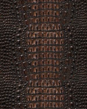 Alligator Leather Brown