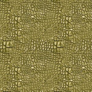 Alligator Skin 24