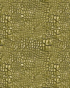 Alligator Skin 24