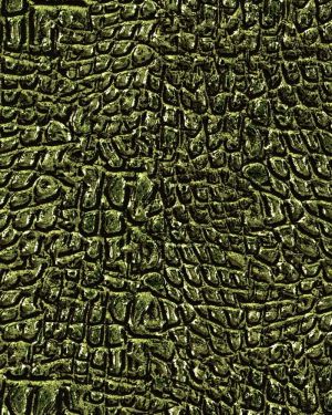 Alligator Skin 25