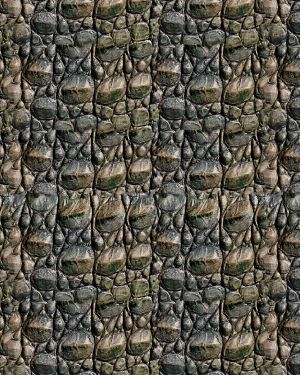 Alligator Skin 26