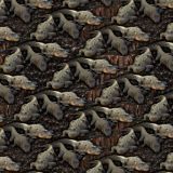 Alligators-24.jpg