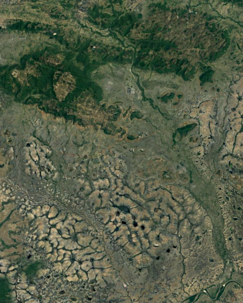 Amazon Topo Camouflage