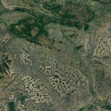 Amazon-Topo-Camo.jpg